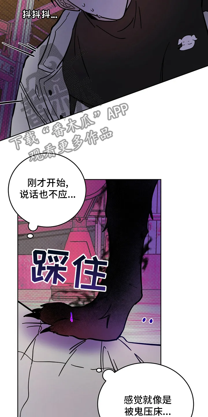 第27章：动物 第19页
