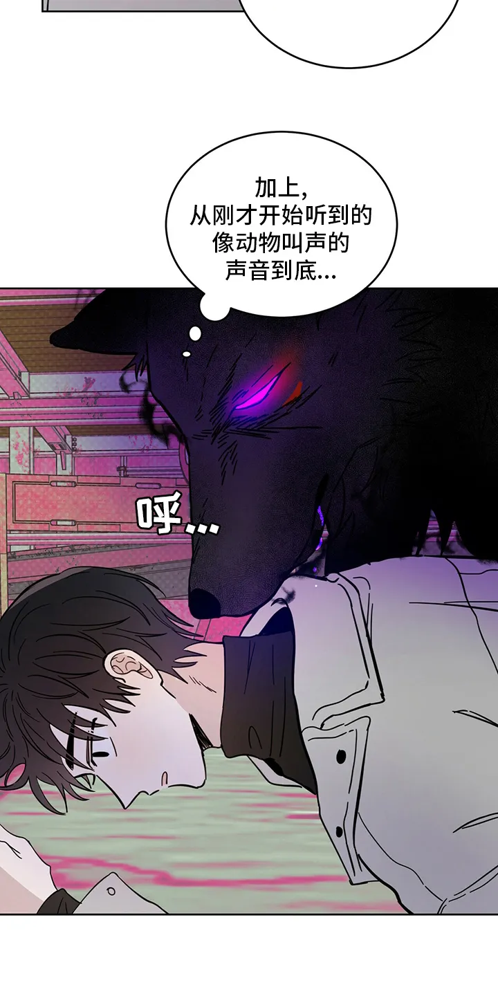 第27章：动物 第20页