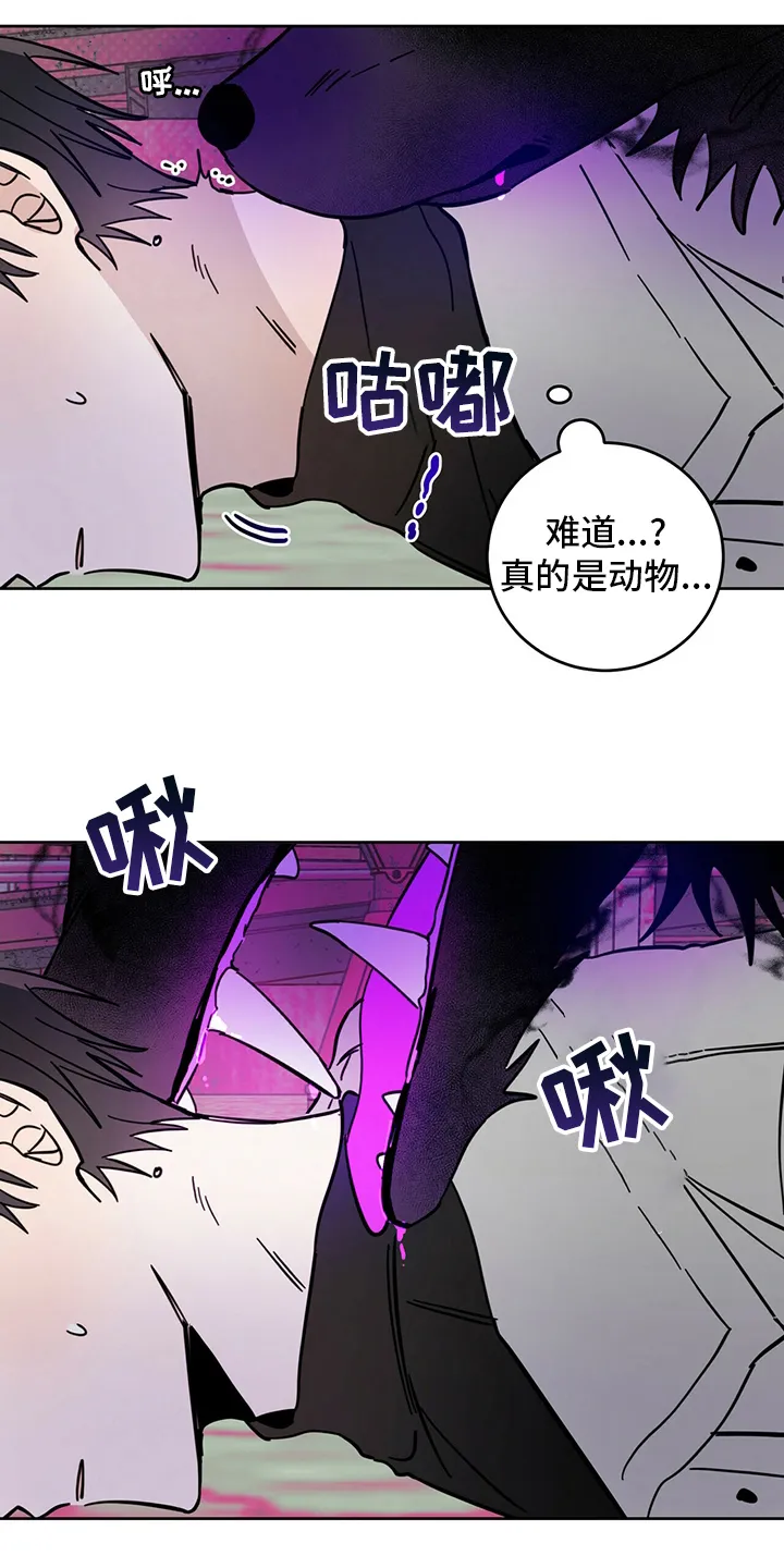 第27章：动物 第21页