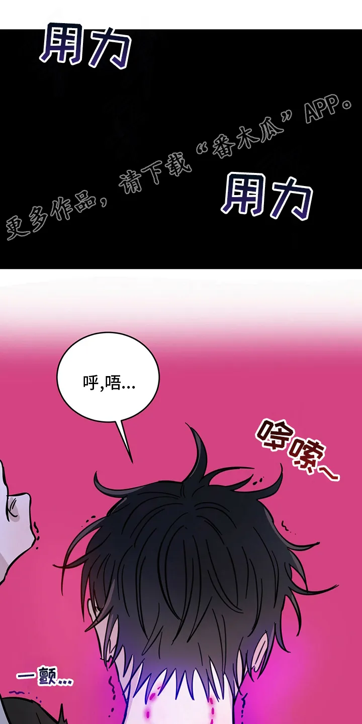 第27章：动物 第24页