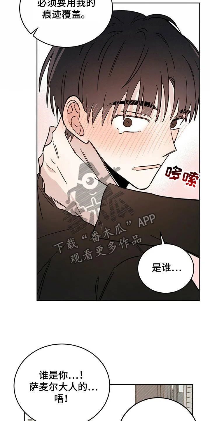 第36章：酷刑 第13页