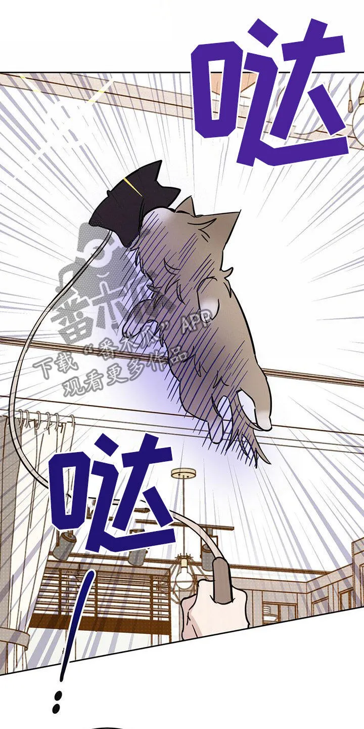 第38章：胡说八道 第8页