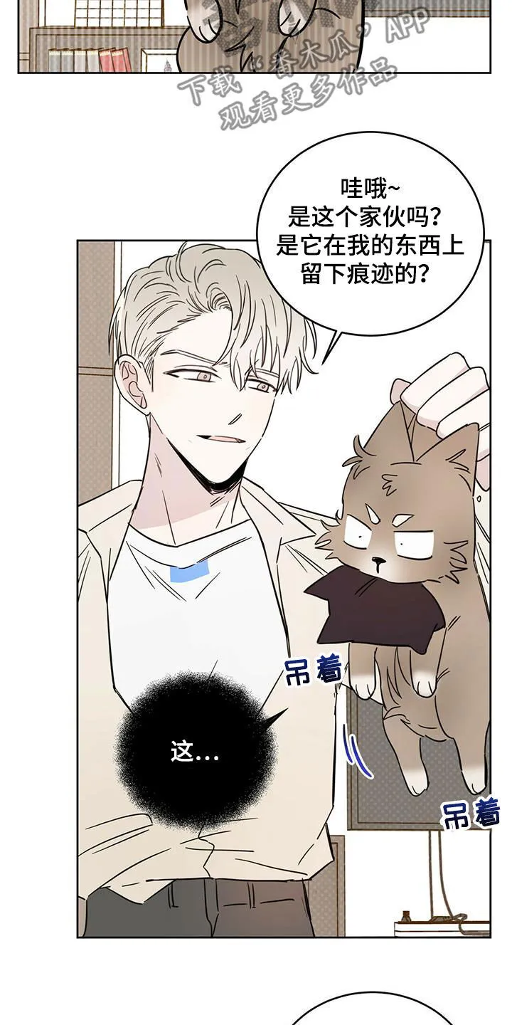 第39章：等一等 第3页