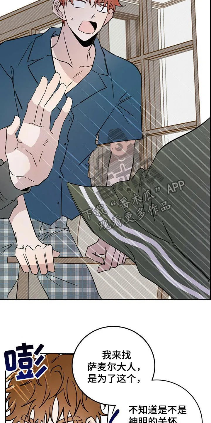 第43章：原则 第4页
