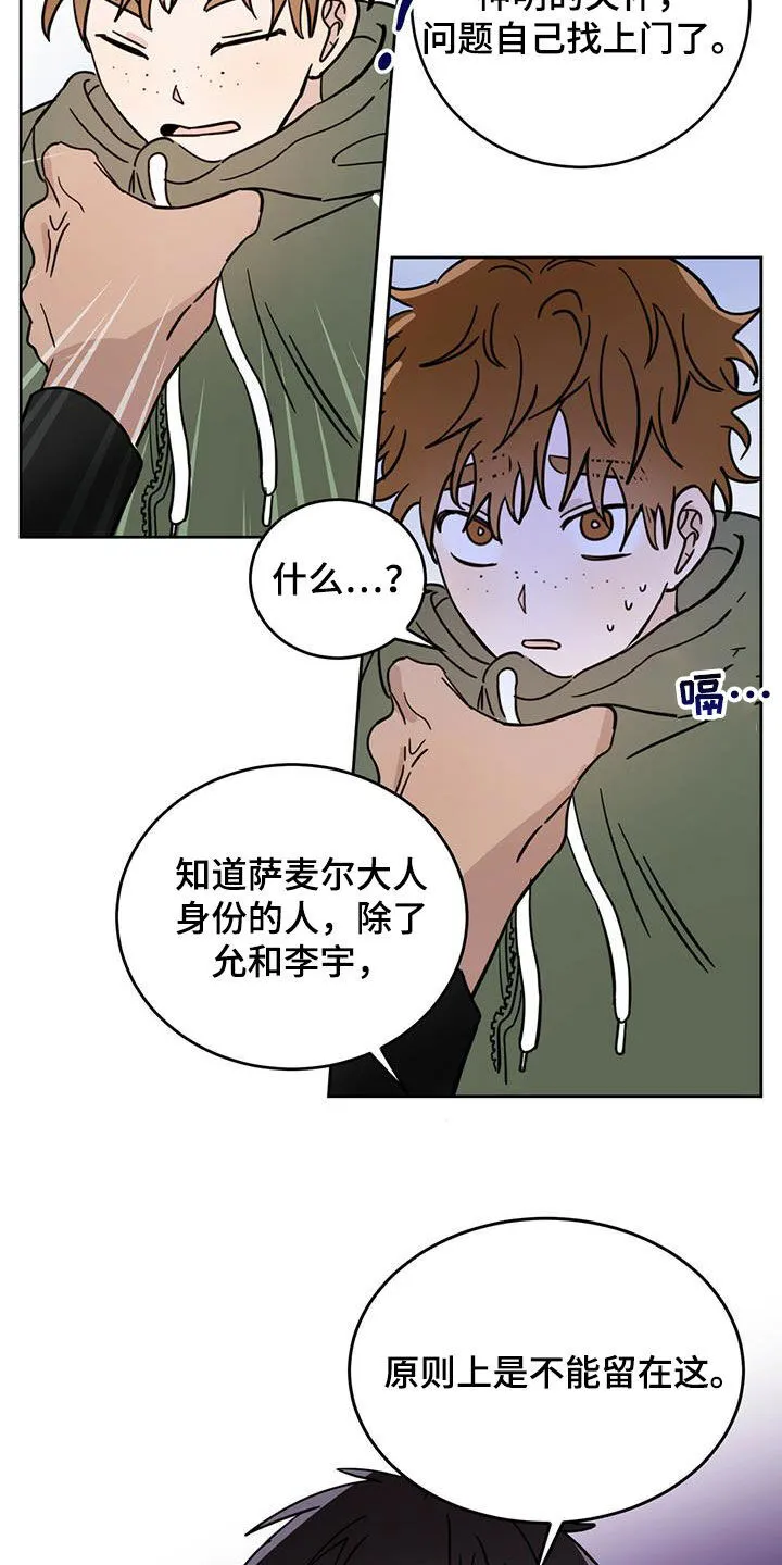 第43章：原则 第5页