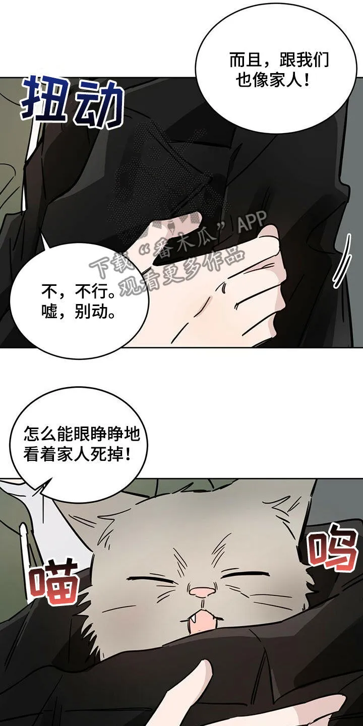 第43章：原则 第15页