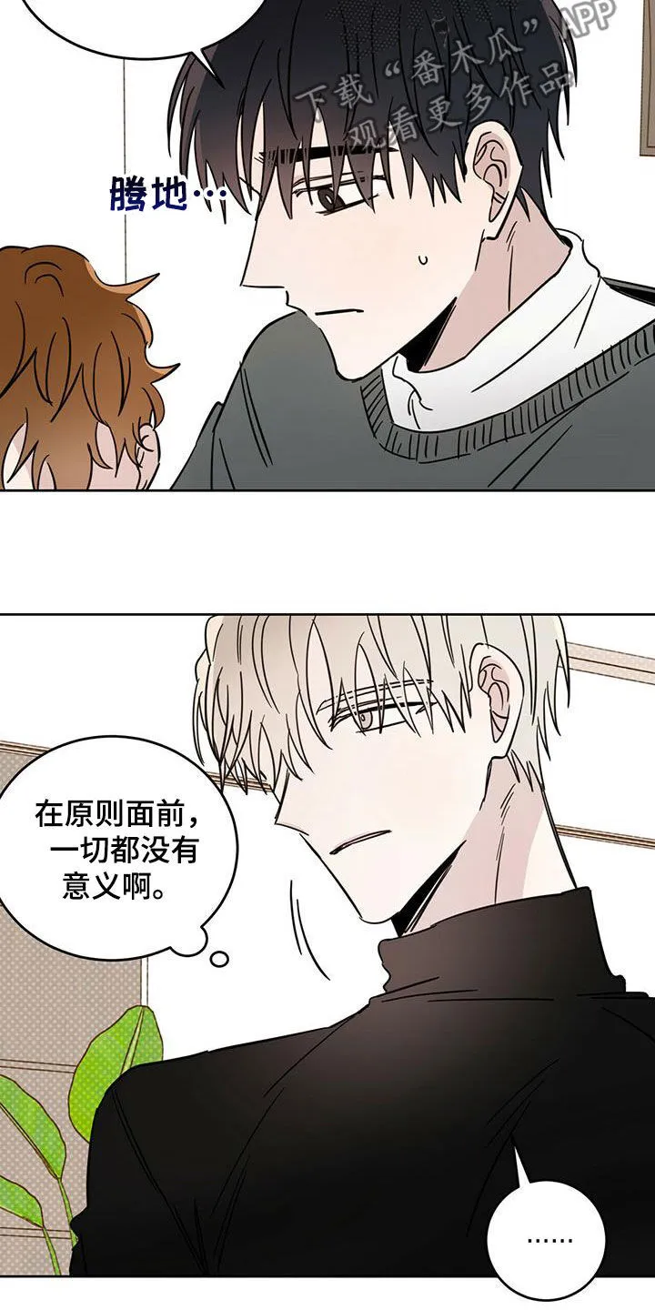 第43章：原则 第17页