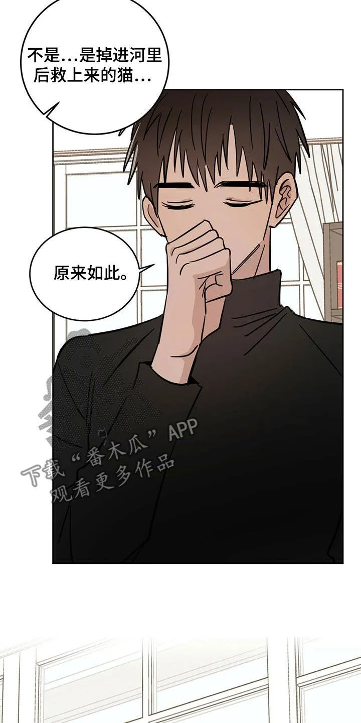 第43章：原则 第22页