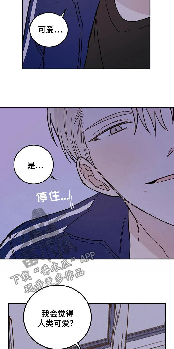 第53章：不是偶然 第5页