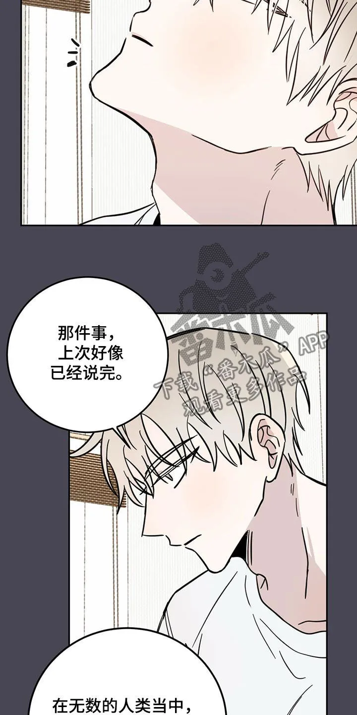 第53章：不是偶然 第15页