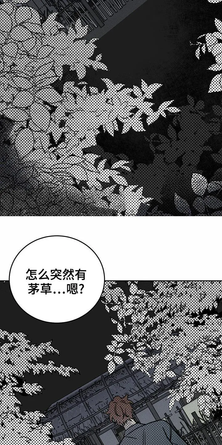 第54章：梦境 第9页
