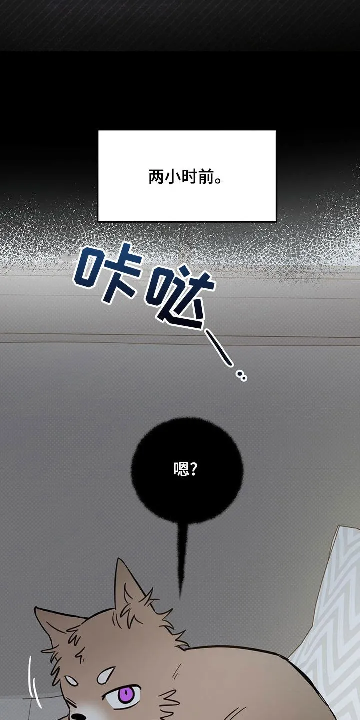 第58章：祭品 第2页