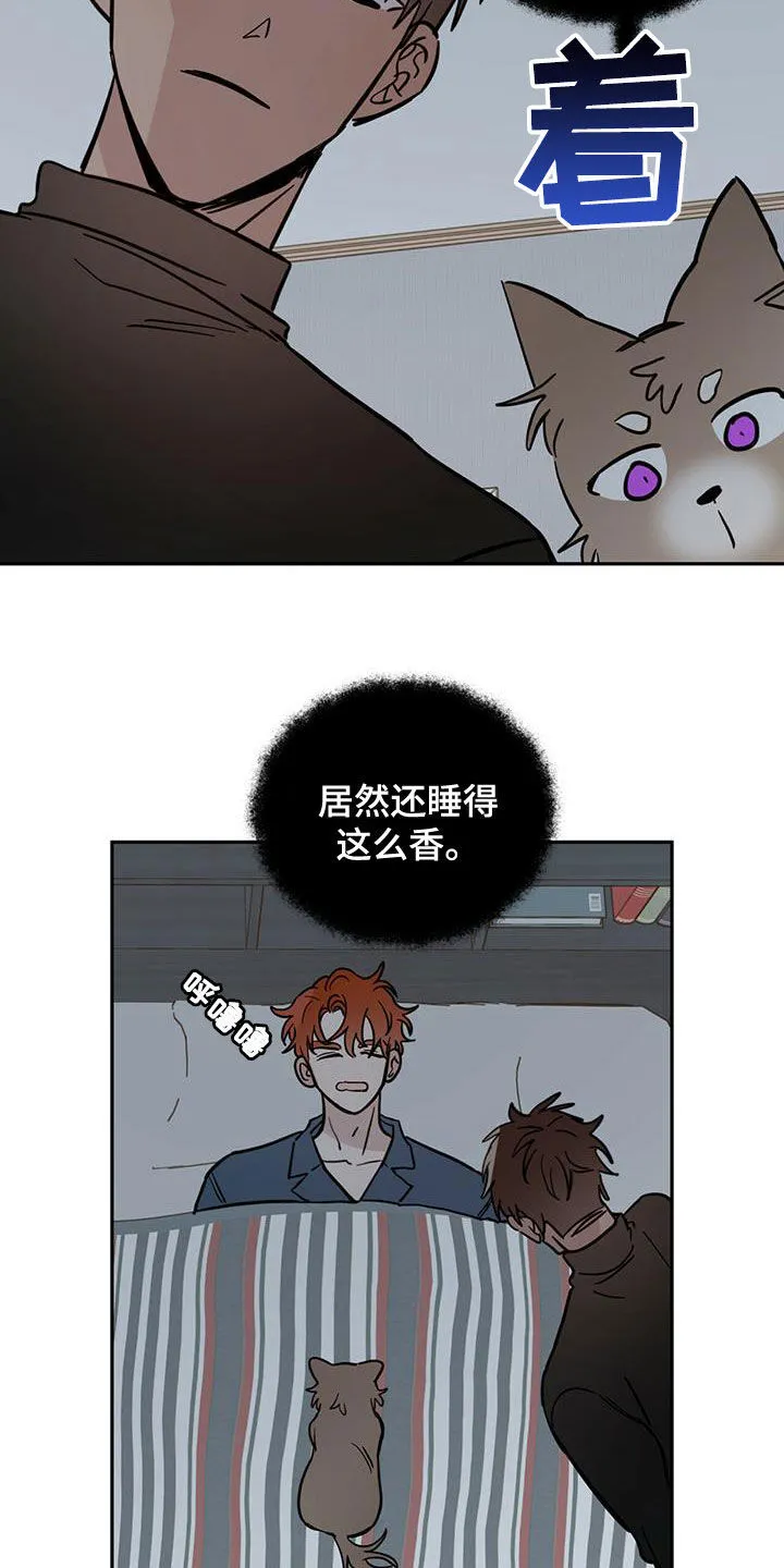 第58章：祭品 第11页