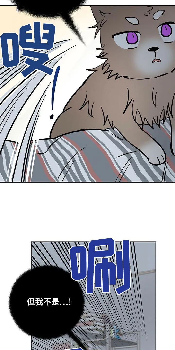 第58章：祭品 第21页