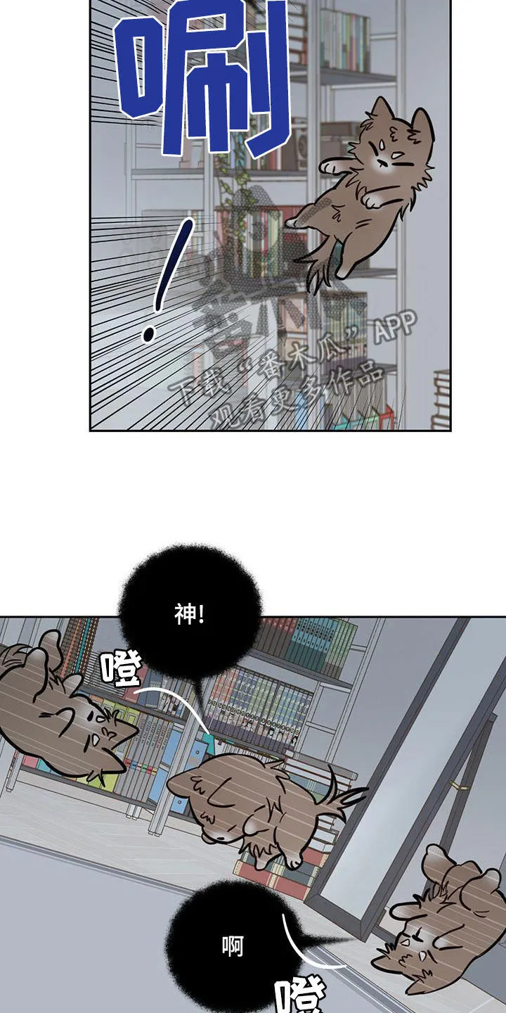 第58章：祭品 第22页