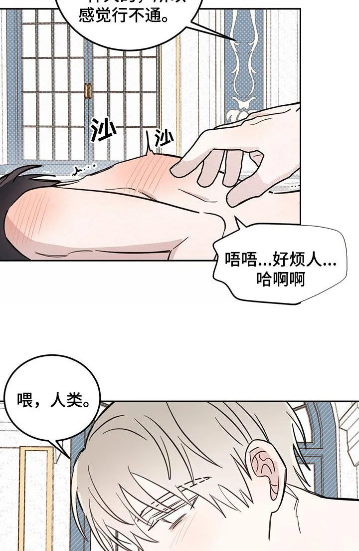 第66章：【第二季】容易受骗 第22页