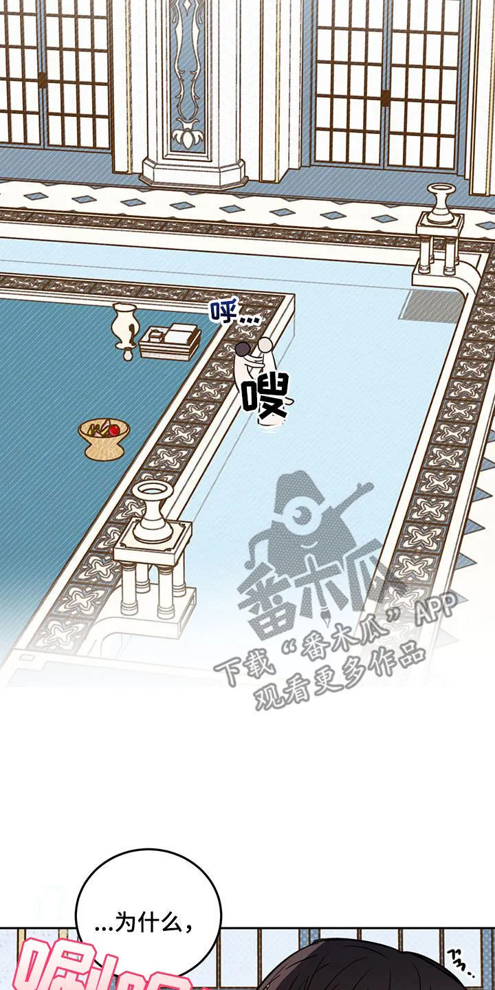 第67章：【第二季】不一样 第15页