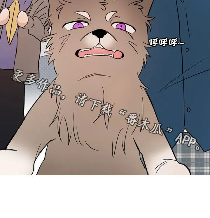 第75章：【第二季】醒来 第25页
