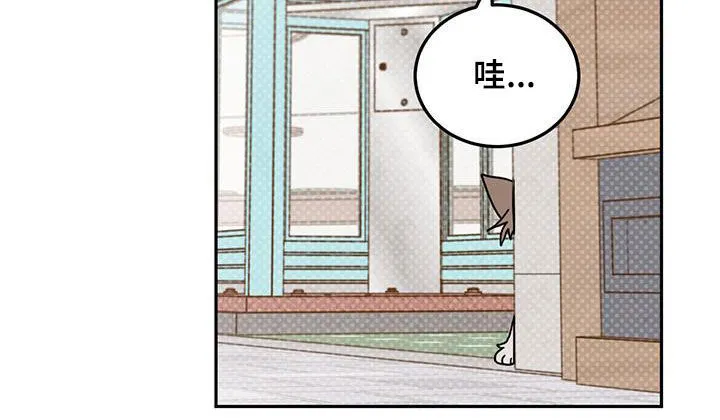 第98章：【第二季】约会诀窍 第13页