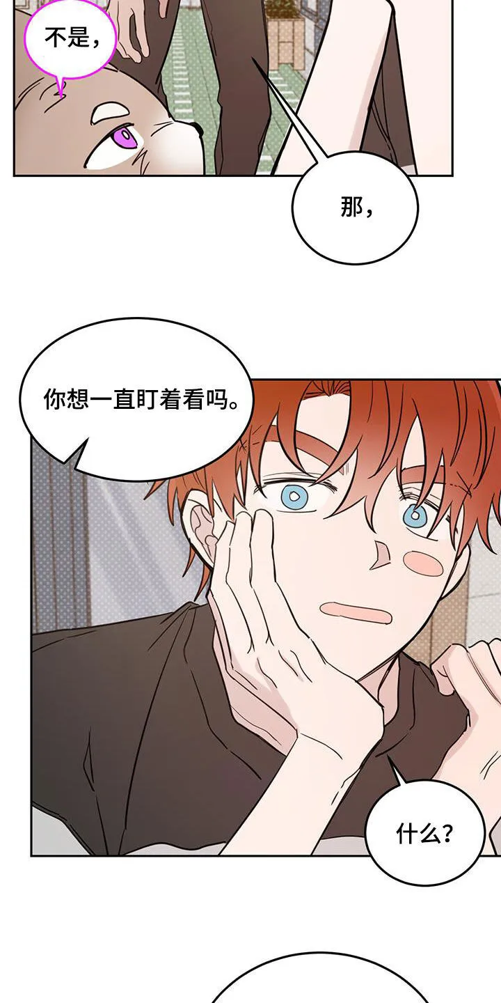 第98章：【第二季】约会诀窍 第20页