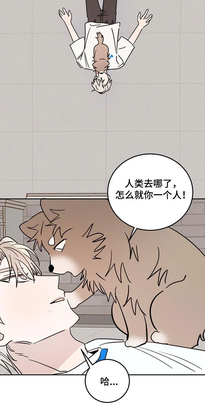 第110章：【第二季】狗腿子 第7页