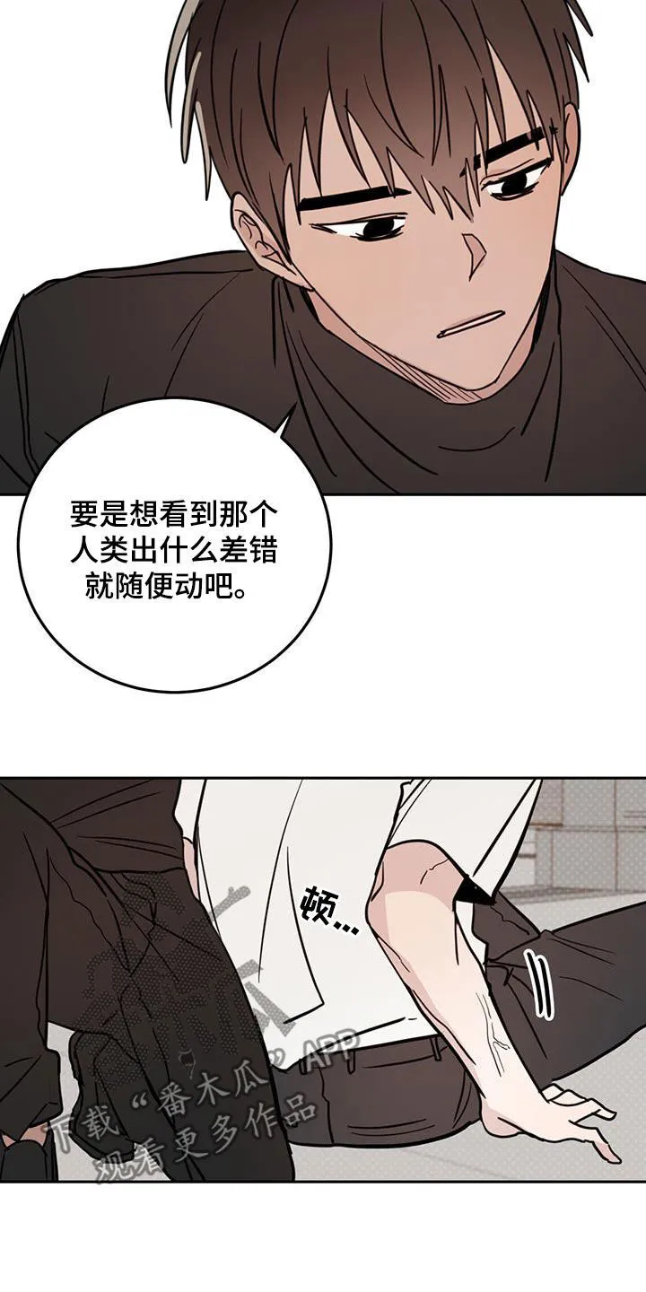 第110章：【第二季】狗腿子 第13页