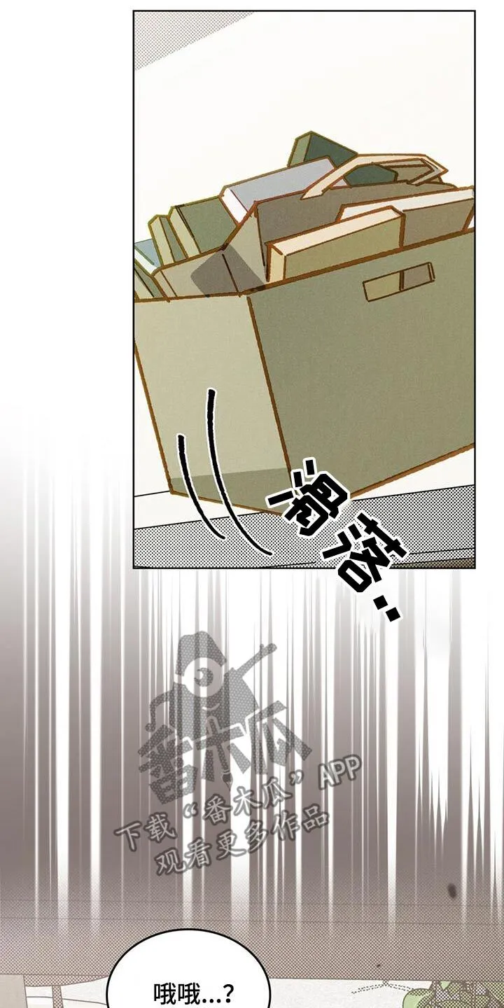 第40章：爱情小说 第11页