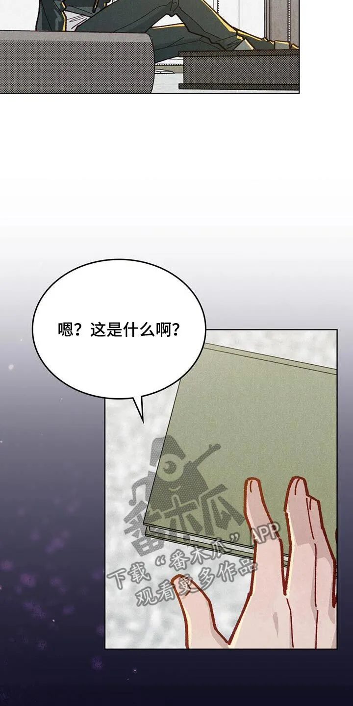 第40章：爱情小说 第13页