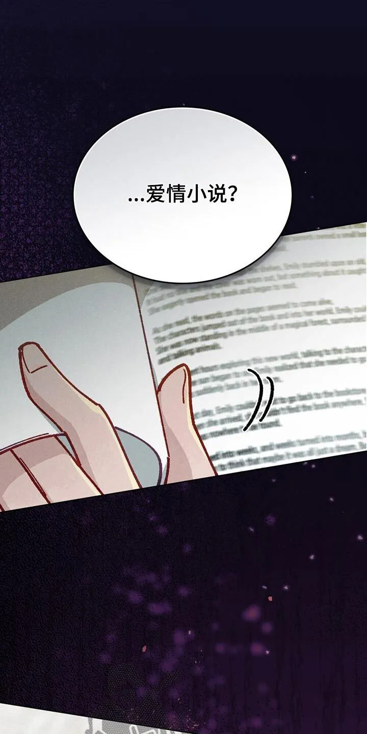 第40章：爱情小说 第14页