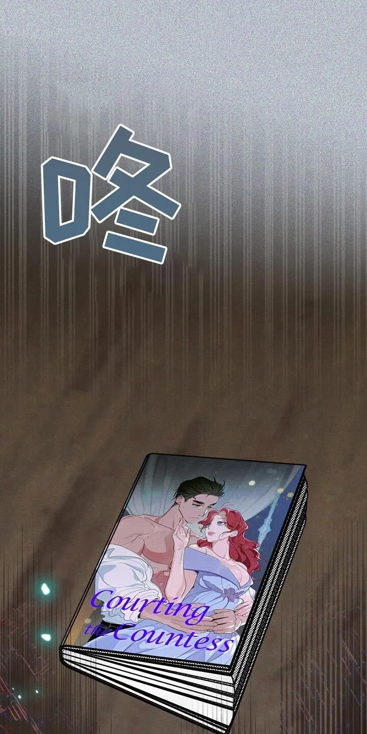 第43章：这本书 第25页