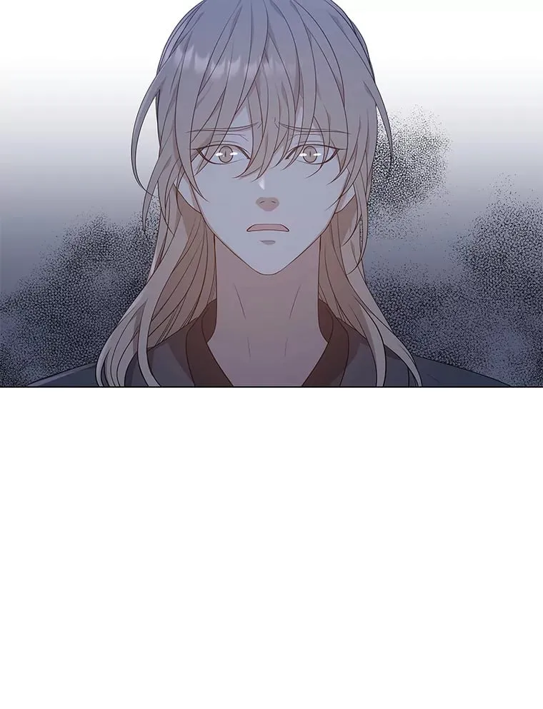 9.突然钻出小狐狸 第62页