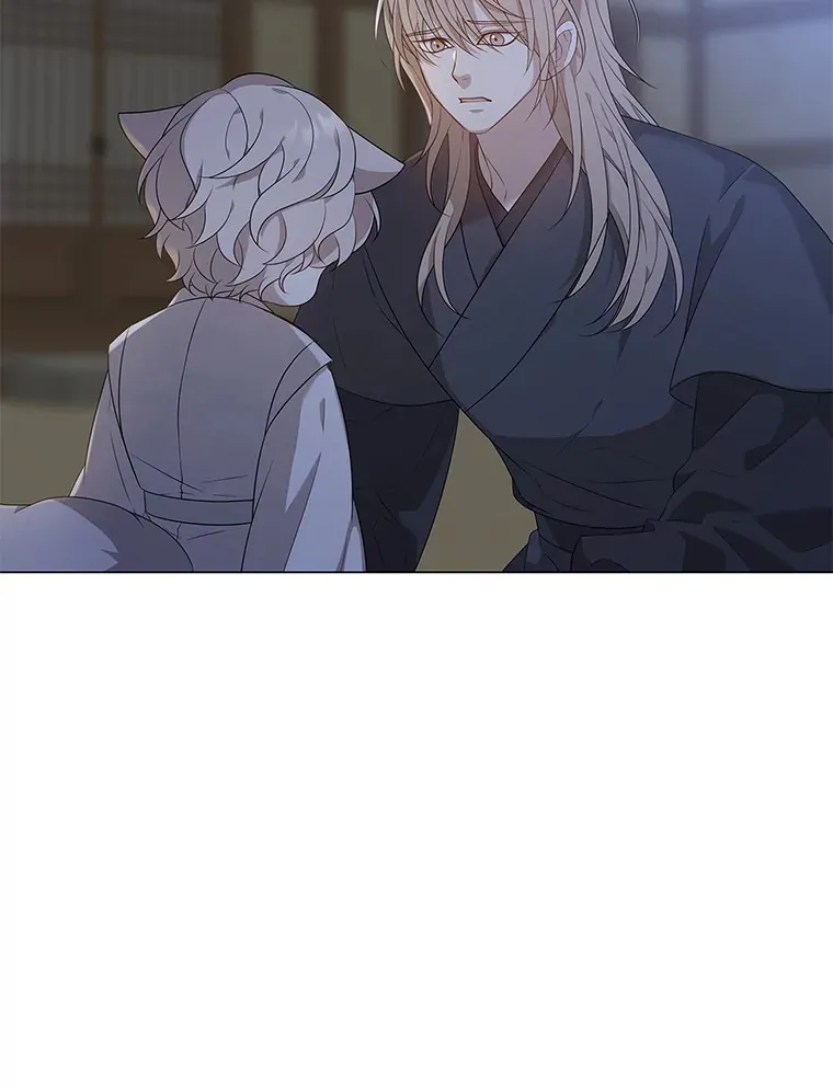 9.突然钻出小狐狸 第77页