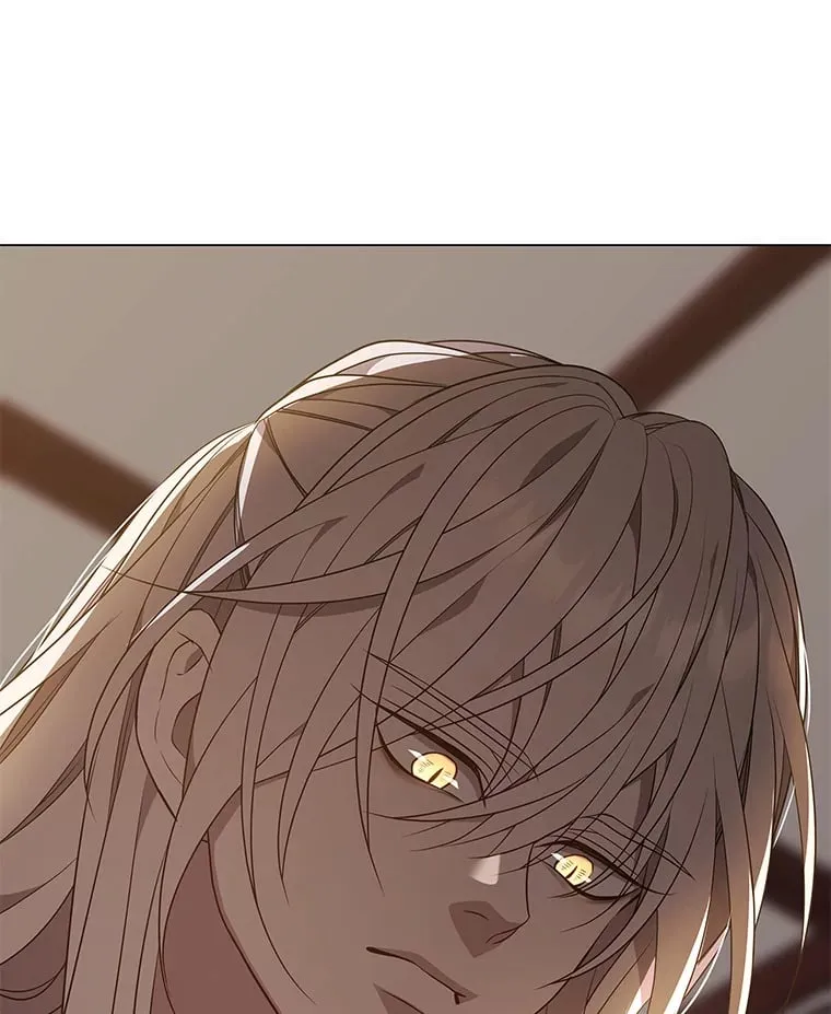 25.诱人迷香 第148页