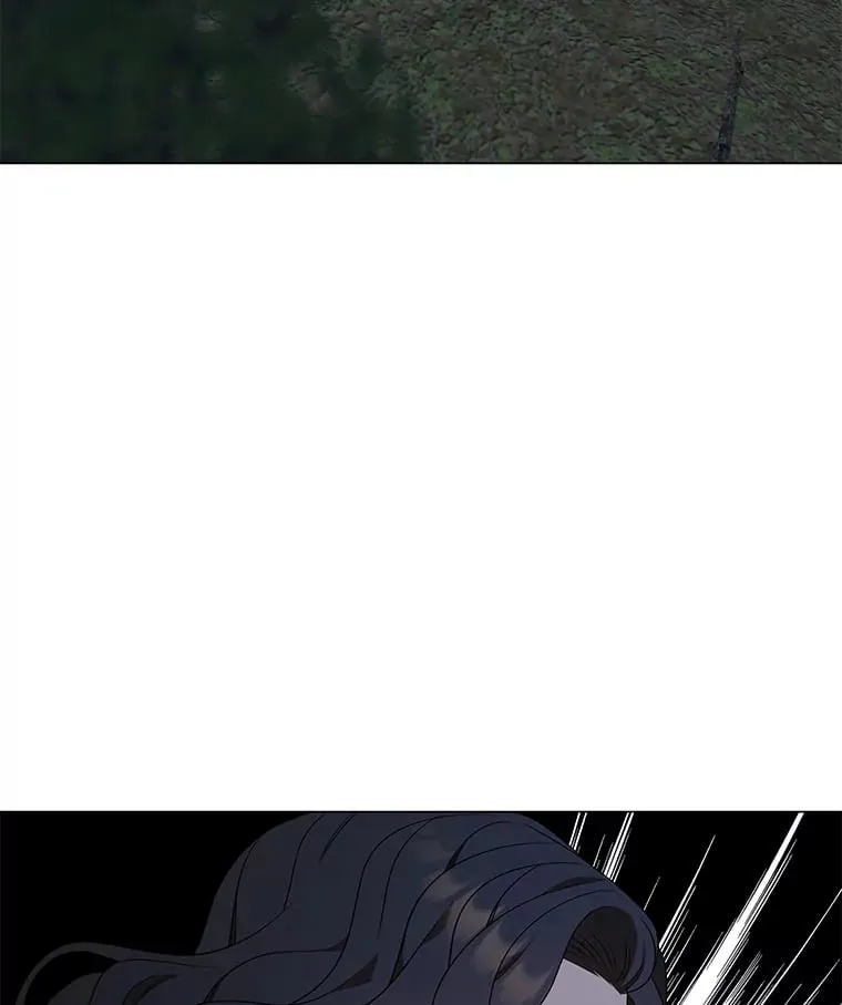27.灵药狐狸血 第91页