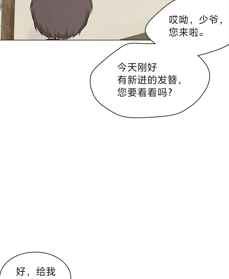 27.灵药狐狸血 第109页