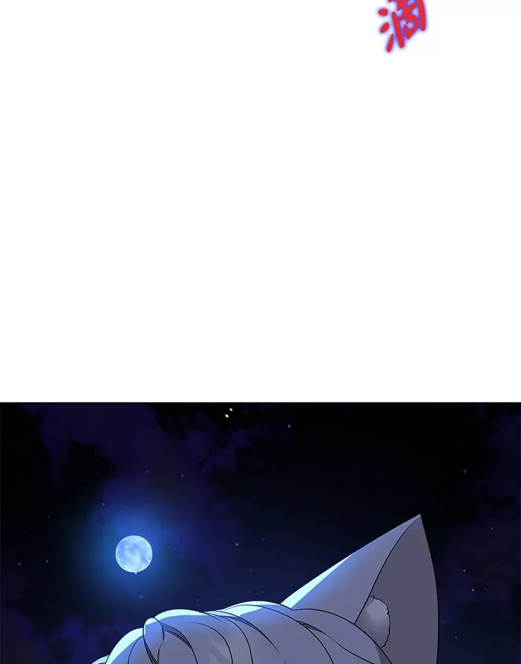 28.狐狸的传闻 第20页
