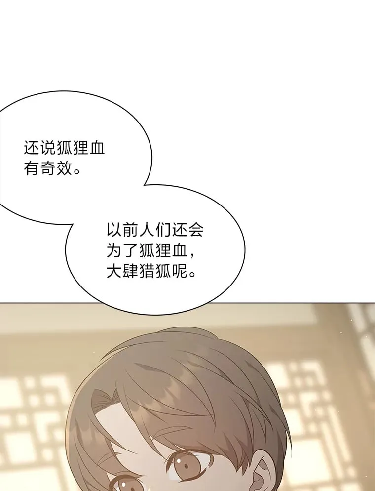 28.狐狸的传闻 第42页