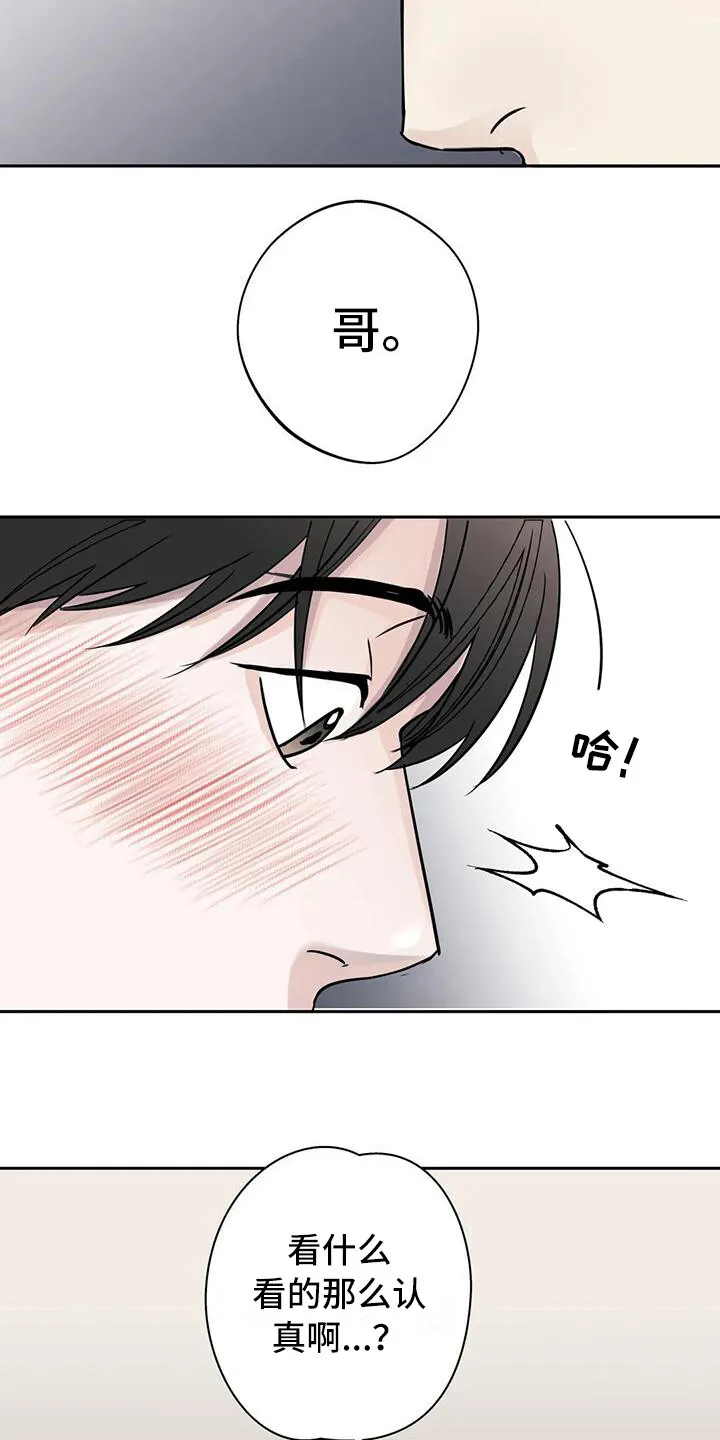 第12章：盯着看 第6页
