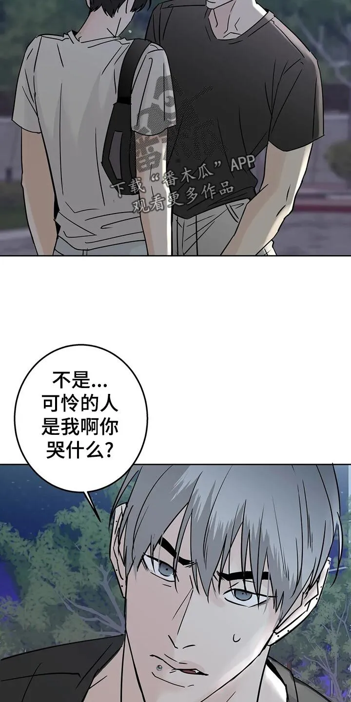 第29章：质问 第4页