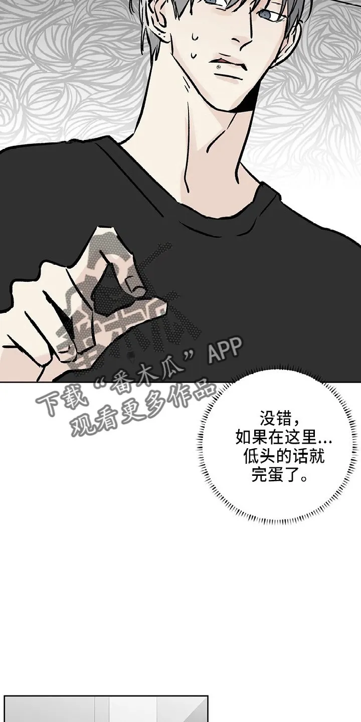 第40章：搞什么 第17页