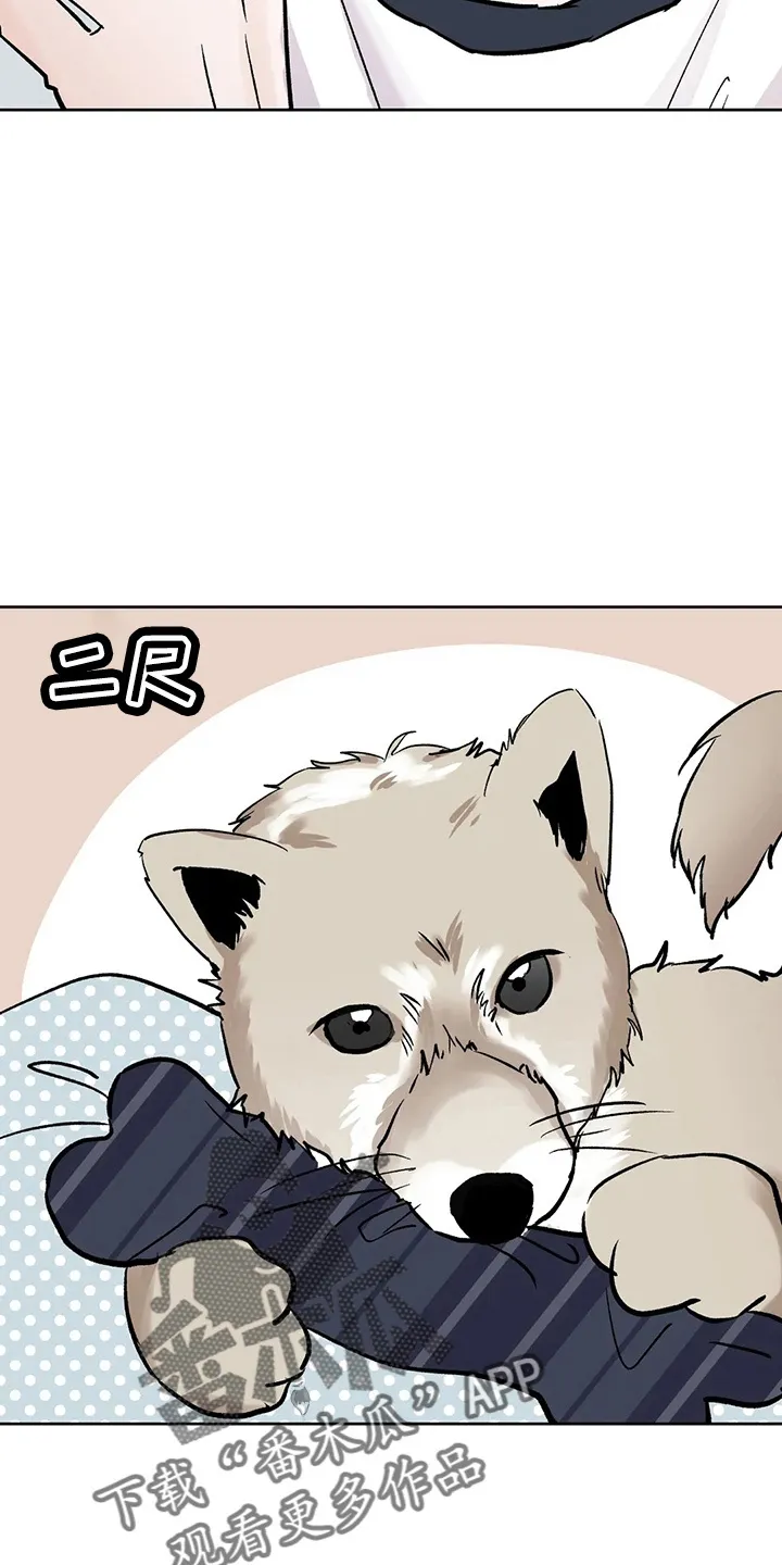 第41章：二尺 第18页