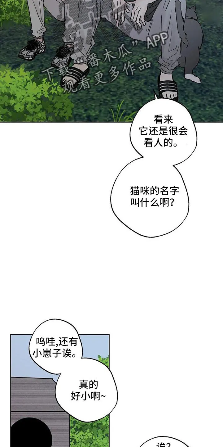 第51章：拜托了 第25页