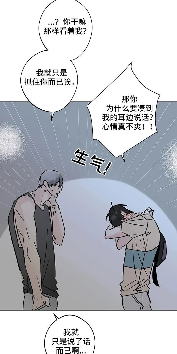 第52章：你来啦 第13页