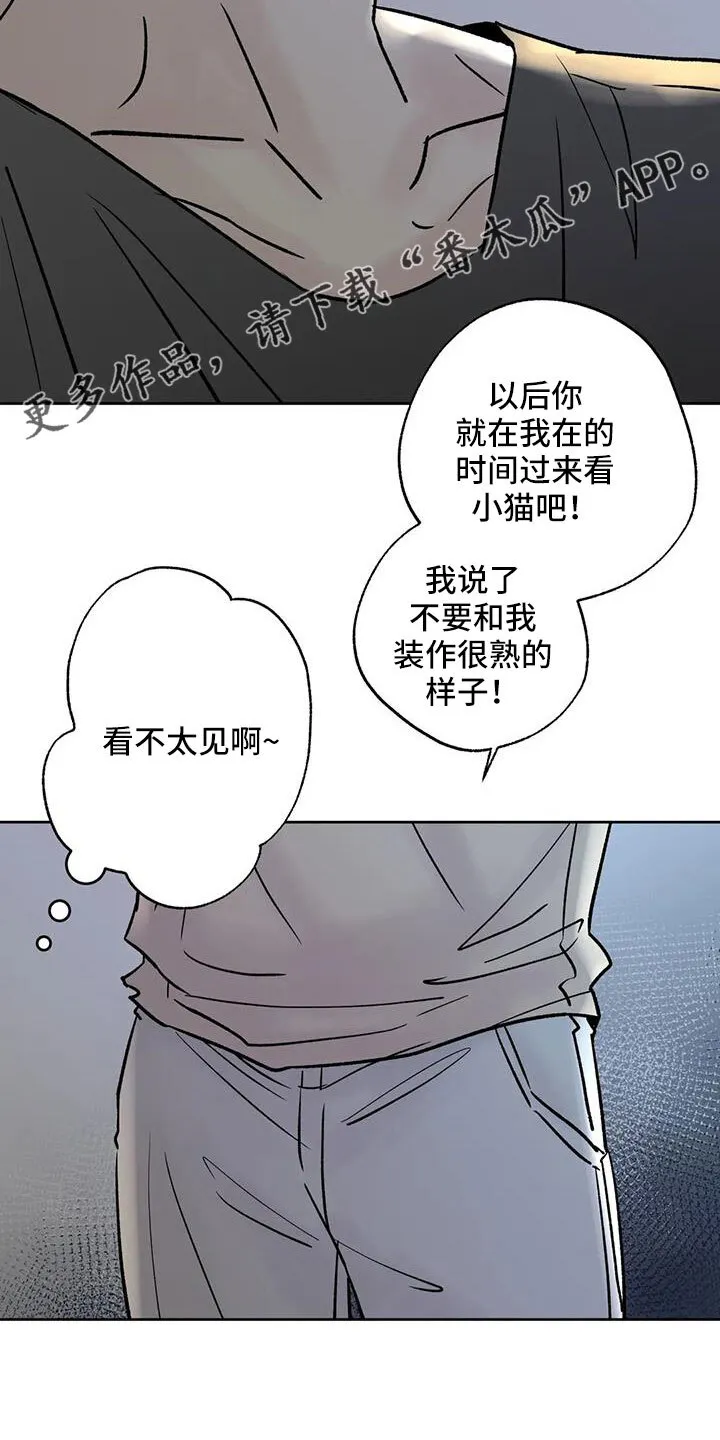 第52章：你来啦 第15页
