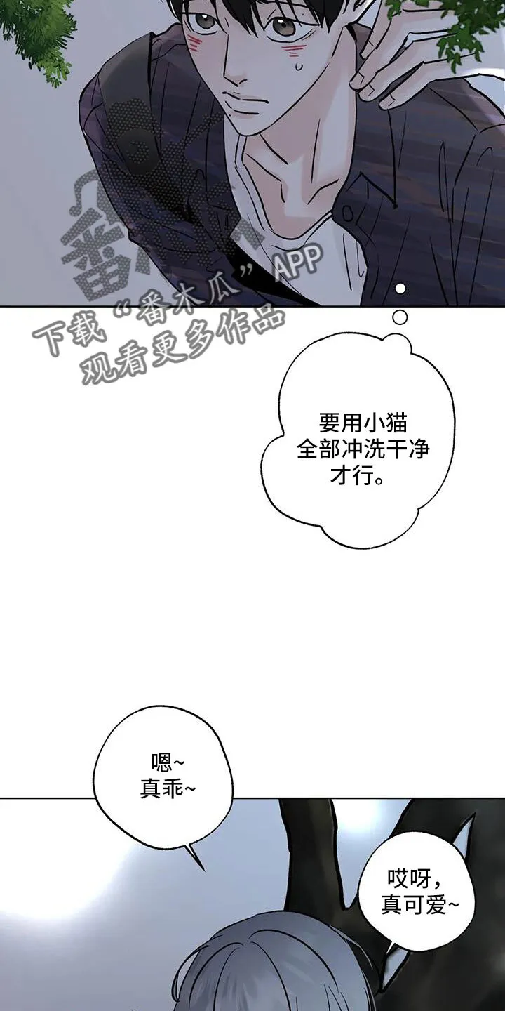 第52章：你来啦 第24页