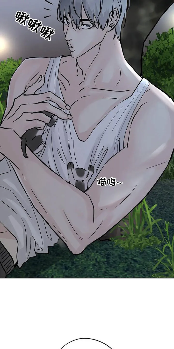 第52章：你来啦 第25页