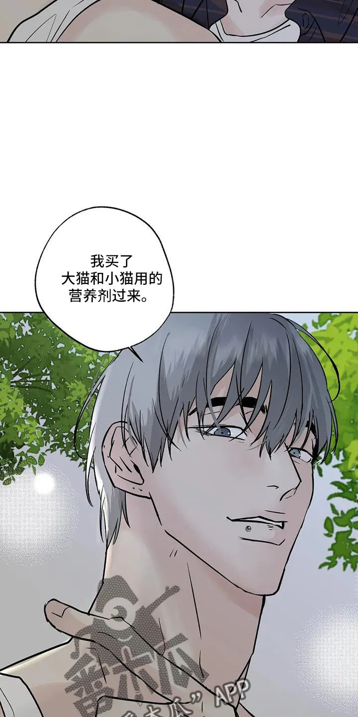 第53章：晴天霹雳 第4页