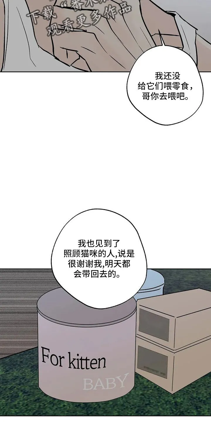 第53章：晴天霹雳 第5页