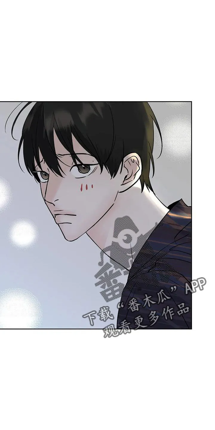 第53章：晴天霹雳 第6页
