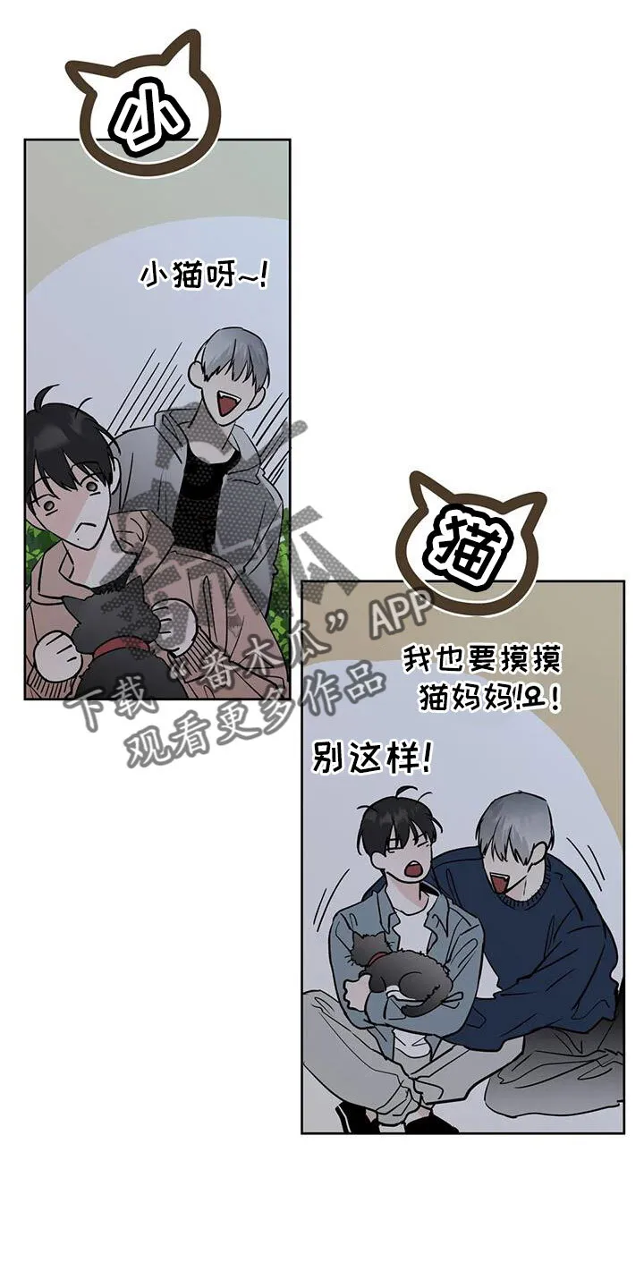 第53章：晴天霹雳 第8页
